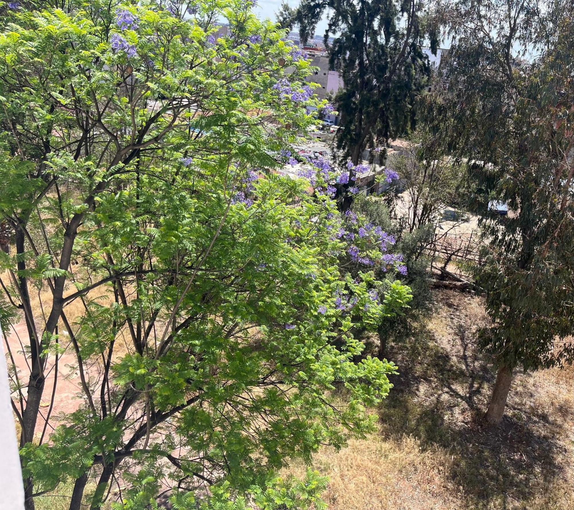 Casablanca Beautiful And Tranquil Family Apartment ห้อง รูปภาพ